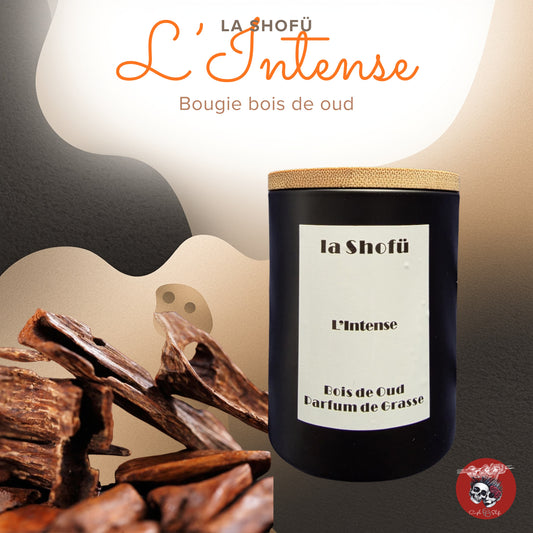 Bougie d'Ambiance 120mL